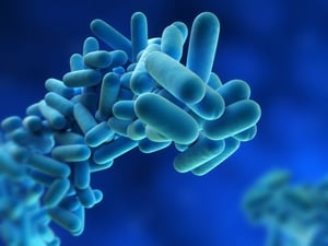 Six people in the Lothian and Tayside areas of Scotland have now been found to have been affected by the bacteria